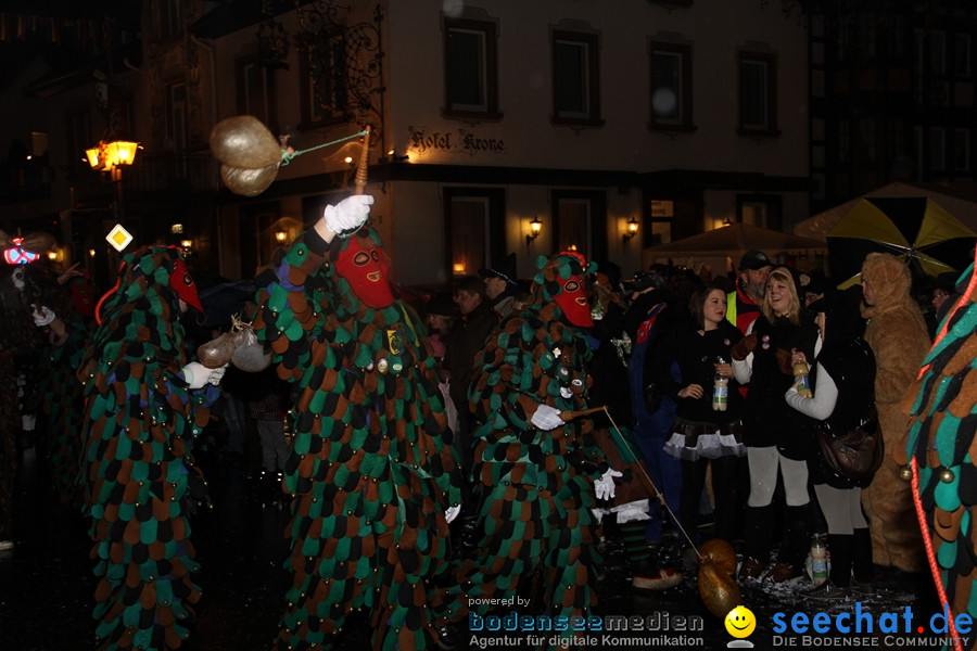 Fasnet Nachtumzug: Rielasingen am Bodensee, 27.01.2012