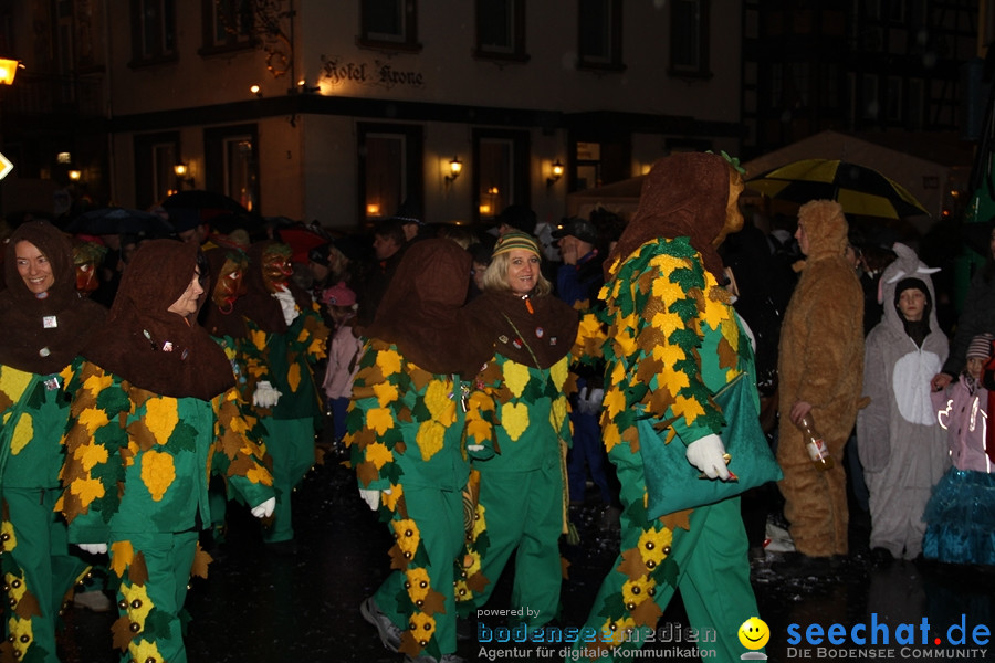 Fasnet Nachtumzug: Rielasingen am Bodensee, 27.01.2012