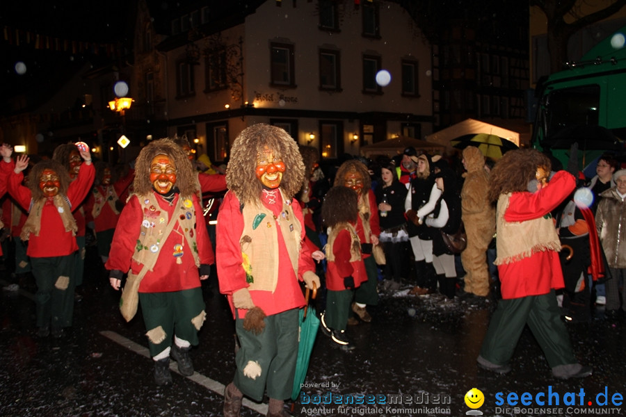 Fasnet Nachtumzug: Rielasingen am Bodensee, 27.01.2012