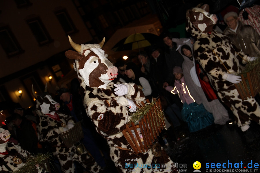 Fasnet Nachtumzug: Rielasingen am Bodensee, 27.01.2012