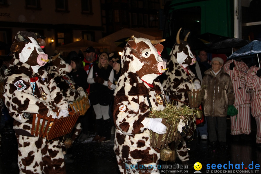 Fasnet Nachtumzug: Rielasingen am Bodensee, 27.01.2012