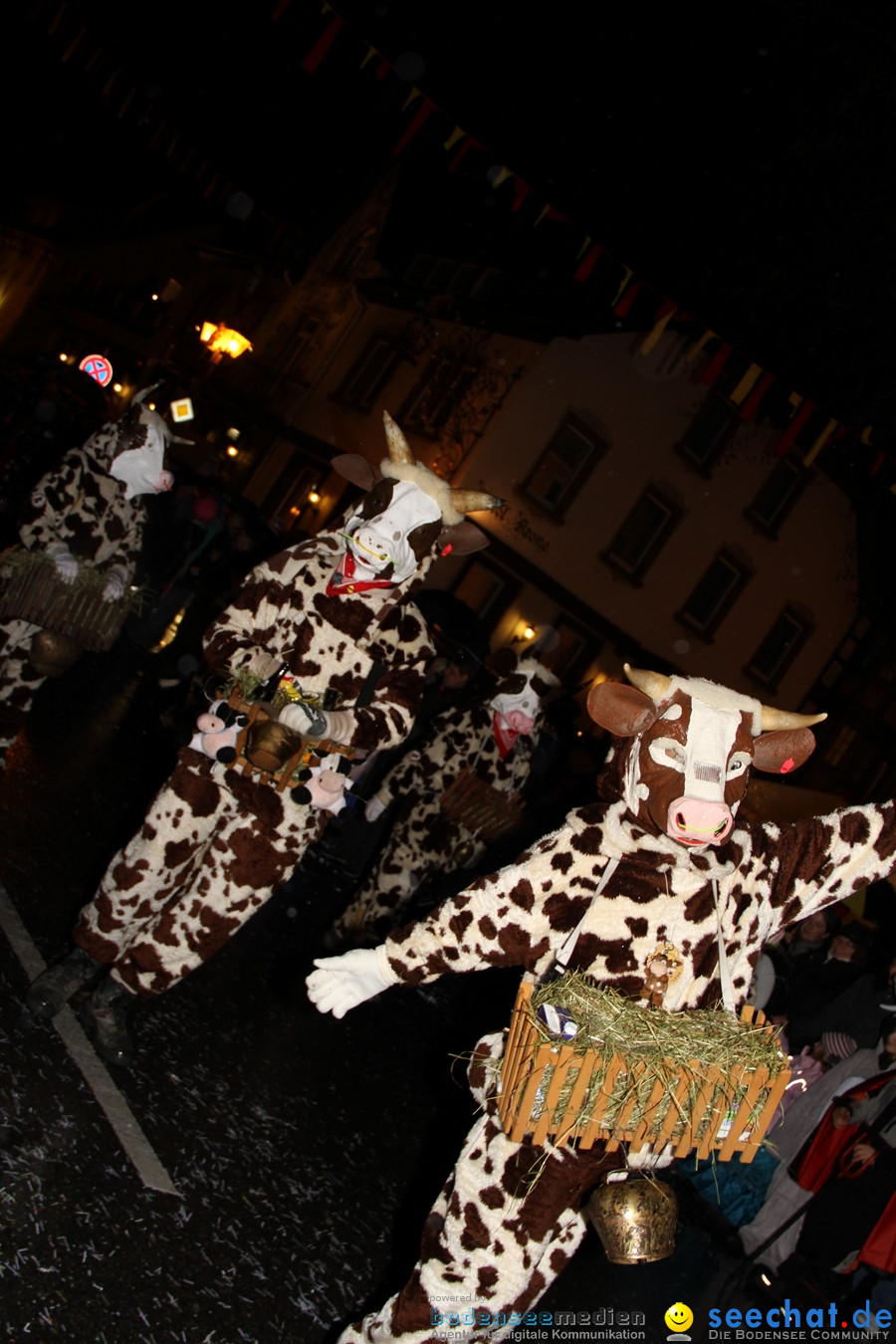 Fasnet Nachtumzug: Rielasingen am Bodensee, 27.01.2012