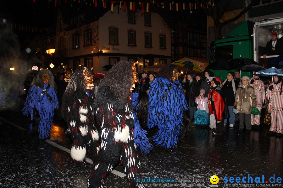 Fasnet Nachtumzug: Rielasingen am Bodensee, 27.01.2012