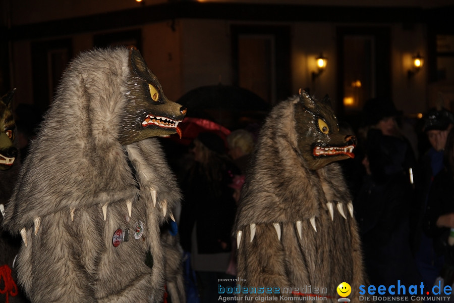 Fasnet Nachtumzug: Rielasingen am Bodensee, 27.01.2012