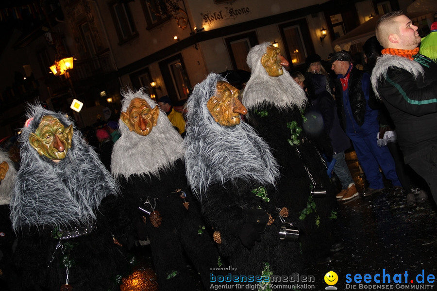 Fasnet Nachtumzug: Rielasingen am Bodensee, 27.01.2012