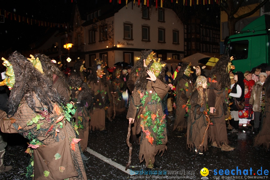 Fasnet Nachtumzug: Rielasingen am Bodensee, 27.01.2012