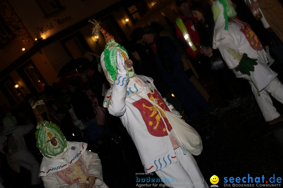 Fasnet Nachtumzug: Rielasingen am Bodensee, 27.01.2012