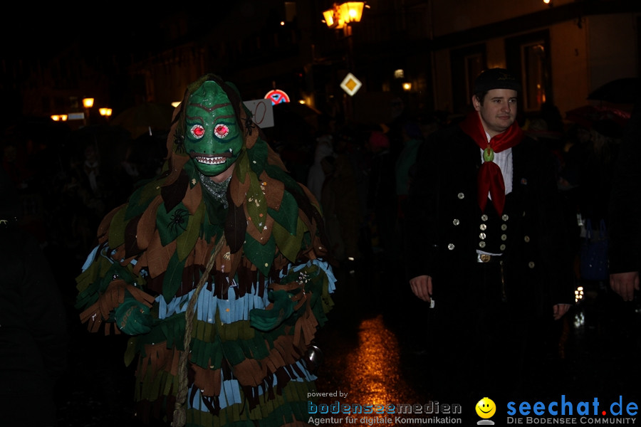 Fasnet Nachtumzug: Rielasingen am Bodensee, 27.01.2012