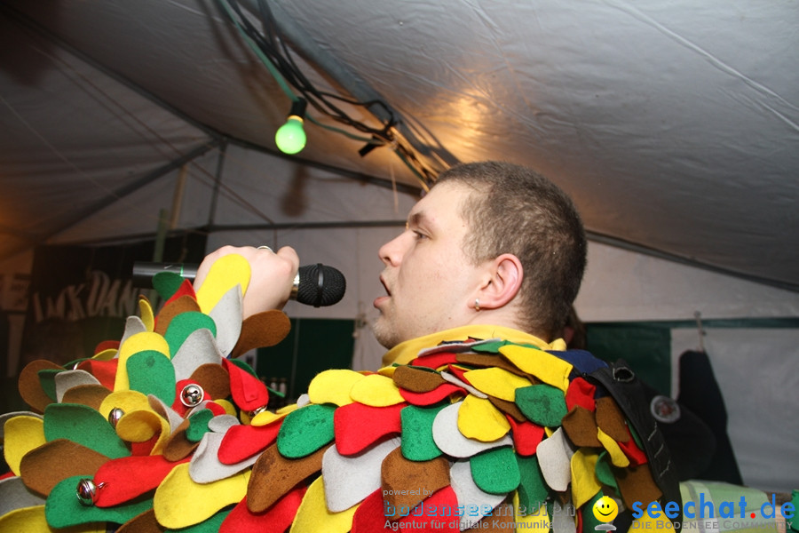 Fasnet Nachtumzug: Rielasingen am Bodensee, 27.01.2012