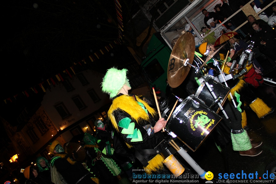 Fasnet Nachtumzug: Rielasingen am Bodensee, 27.01.2012