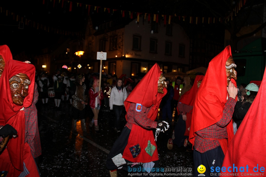 Fasnet Nachtumzug: Rielasingen am Bodensee, 27.01.2012