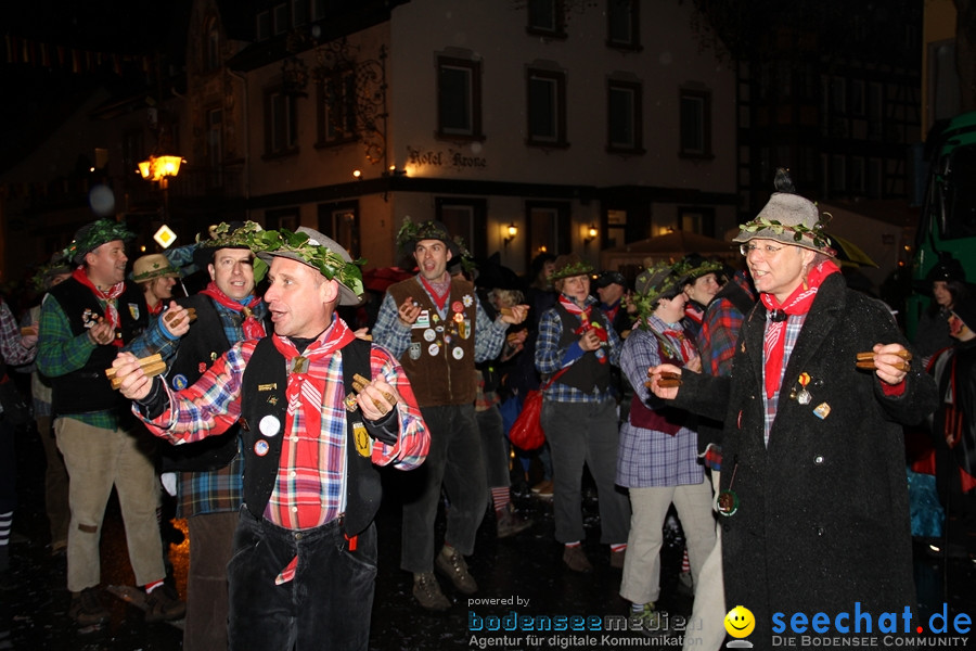 Fasnet Nachtumzug: Rielasingen am Bodensee, 27.01.2012