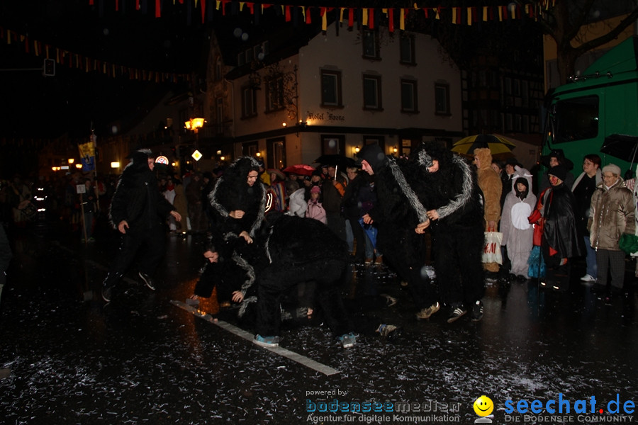 Fasnet Nachtumzug: Rielasingen am Bodensee, 27.01.2012