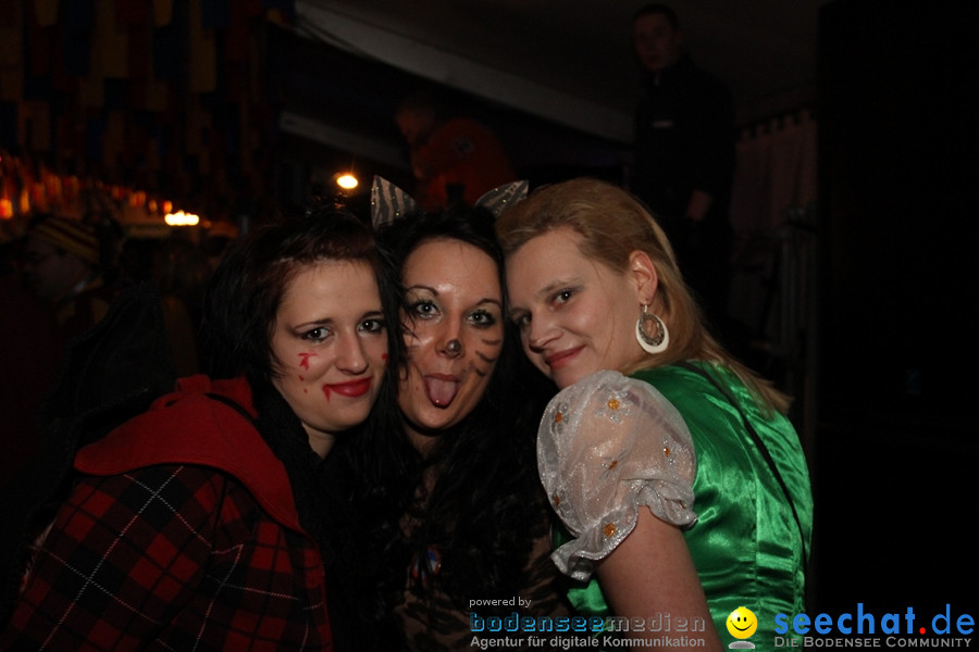 Narrentreffen: Rielasingen am Bodensee, 28.01.2012