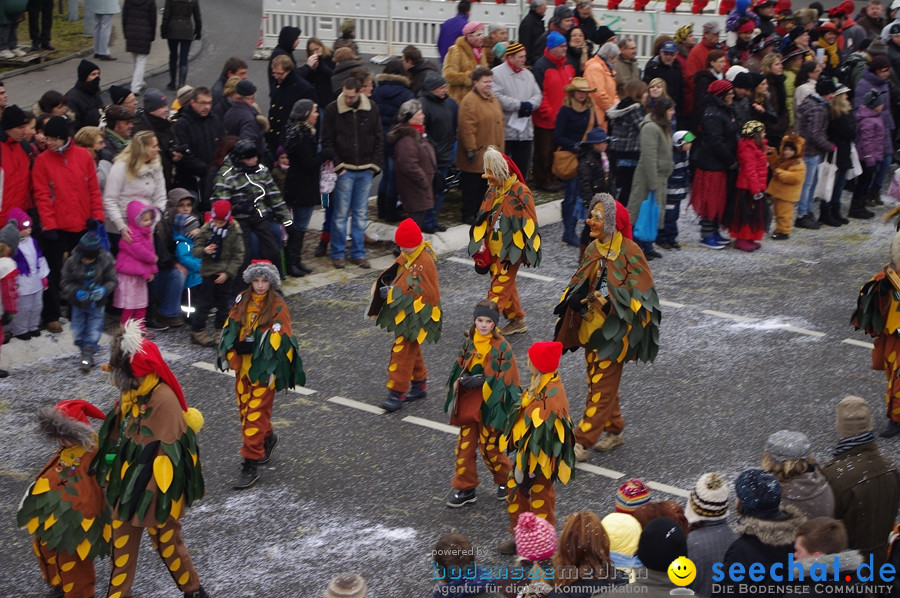 Narrentreffen: Rielasingen am Bodensee, 29.01.2012