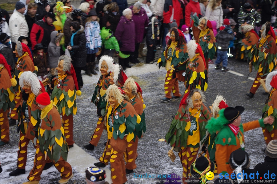 Narrentreffen: Rielasingen am Bodensee, 29.01.2012