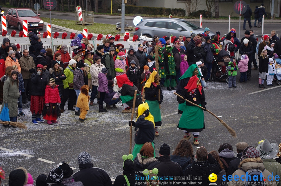 Narrentreffen: Rielasingen am Bodensee, 29.01.2012