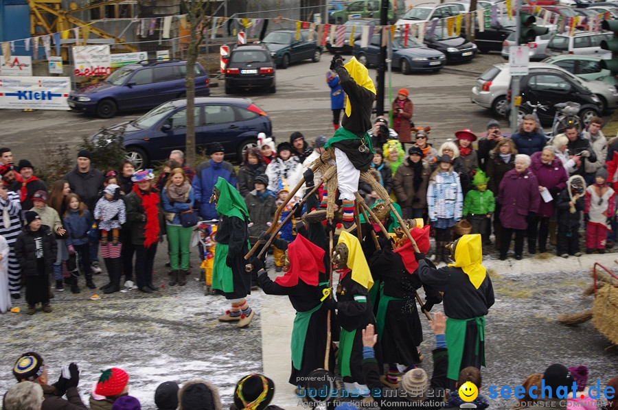 Narrentreffen: Rielasingen am Bodensee, 29.01.2012