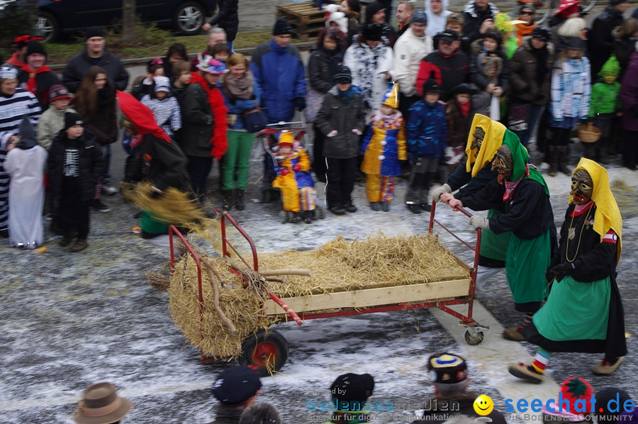 Narrentreffen: Rielasingen am Bodensee, 29.01.2012