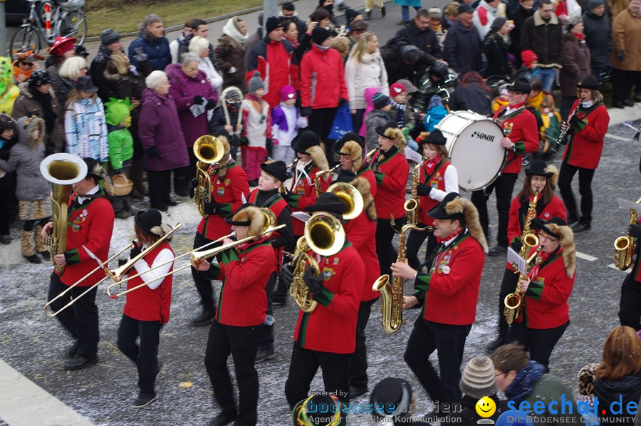 Narrentreffen: Rielasingen am Bodensee, 29.01.2012