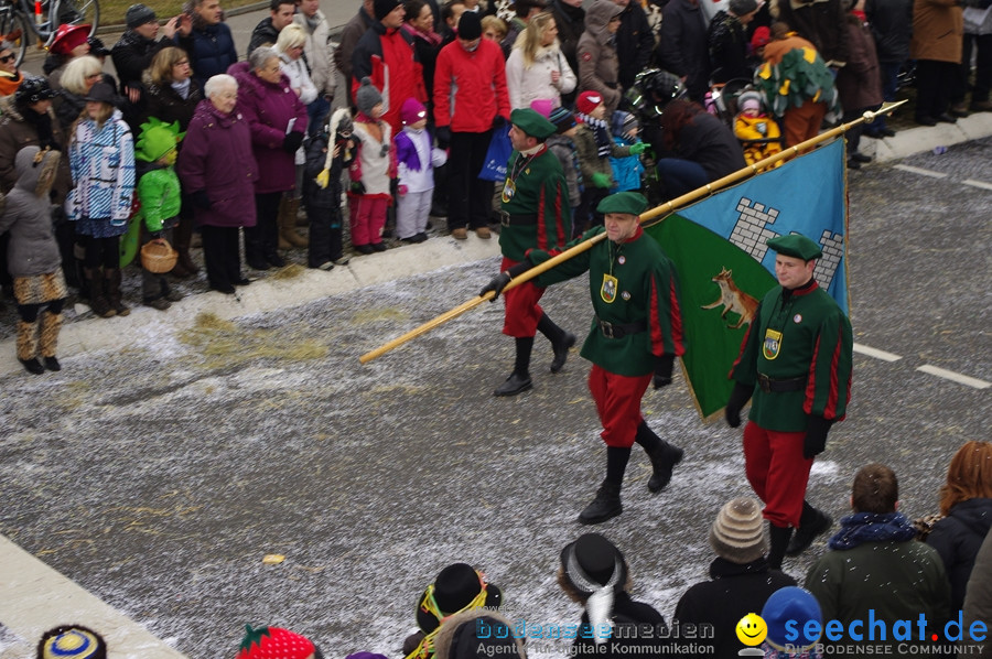 Narrentreffen: Rielasingen am Bodensee, 29.01.2012