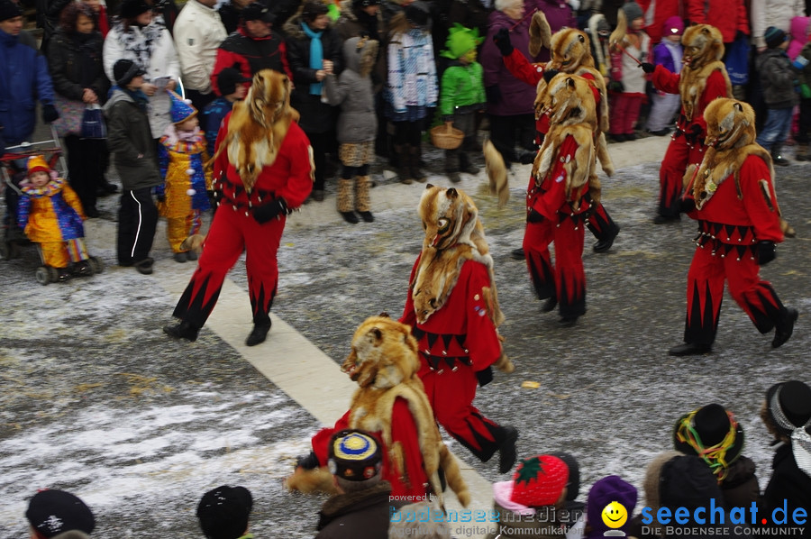 Narrentreffen: Rielasingen am Bodensee, 29.01.2012