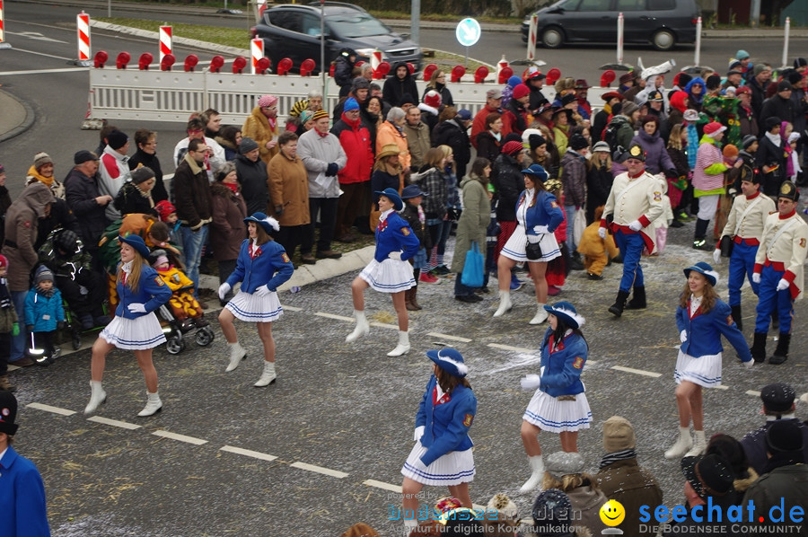 Narrentreffen: Rielasingen am Bodensee, 29.01.2012