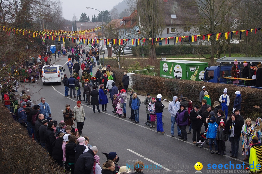 Narrentreffen: Rielasingen am Bodensee, 29.01.2012