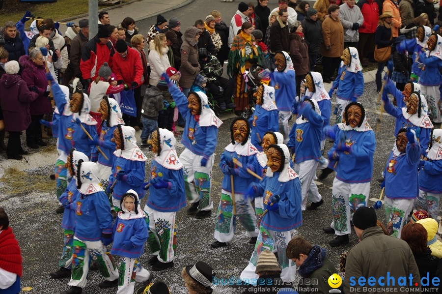 Narrentreffen: Rielasingen am Bodensee, 29.01.2012