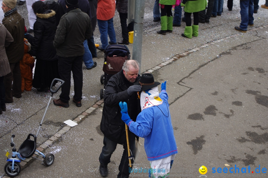 Narrentreffen: Rielasingen am Bodensee, 29.01.2012