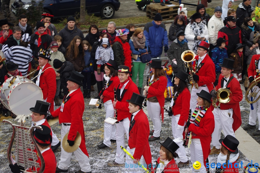 Narrentreffen: Rielasingen am Bodensee, 29.01.2012