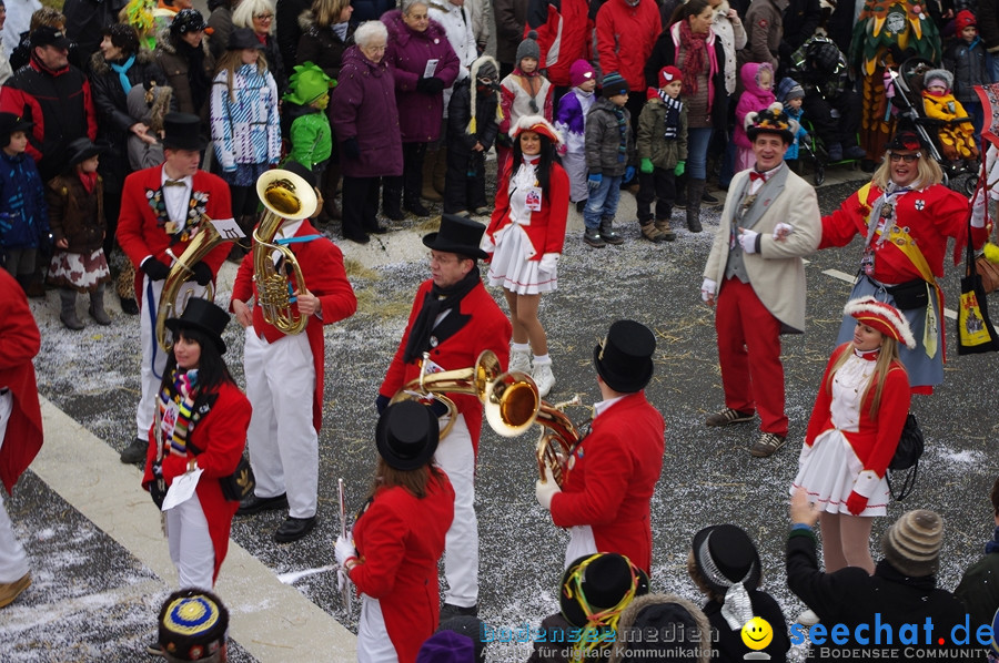 Narrentreffen: Rielasingen am Bodensee, 29.01.2012