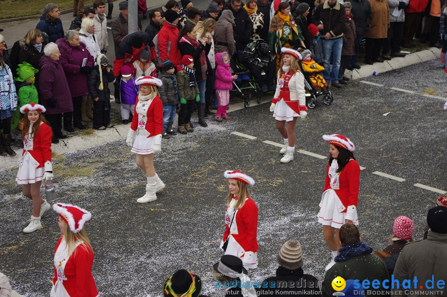 Narrentreffen: Rielasingen am Bodensee, 29.01.2012