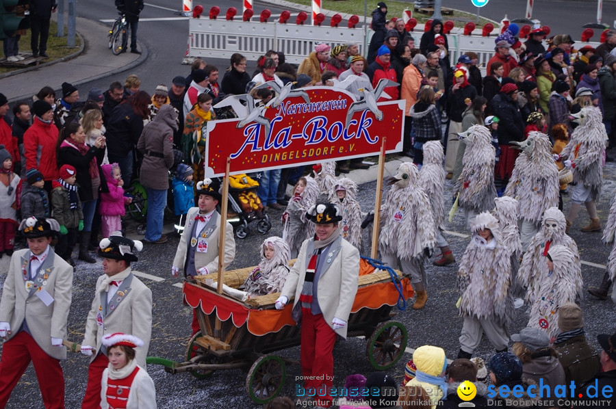 Narrentreffen: Rielasingen am Bodensee, 29.01.2012