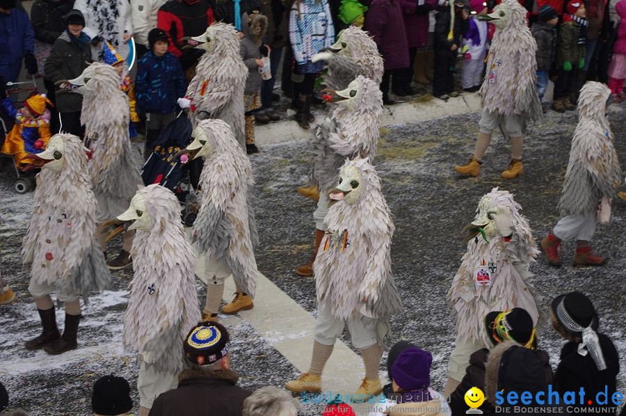 Narrentreffen: Rielasingen am Bodensee, 29.01.2012