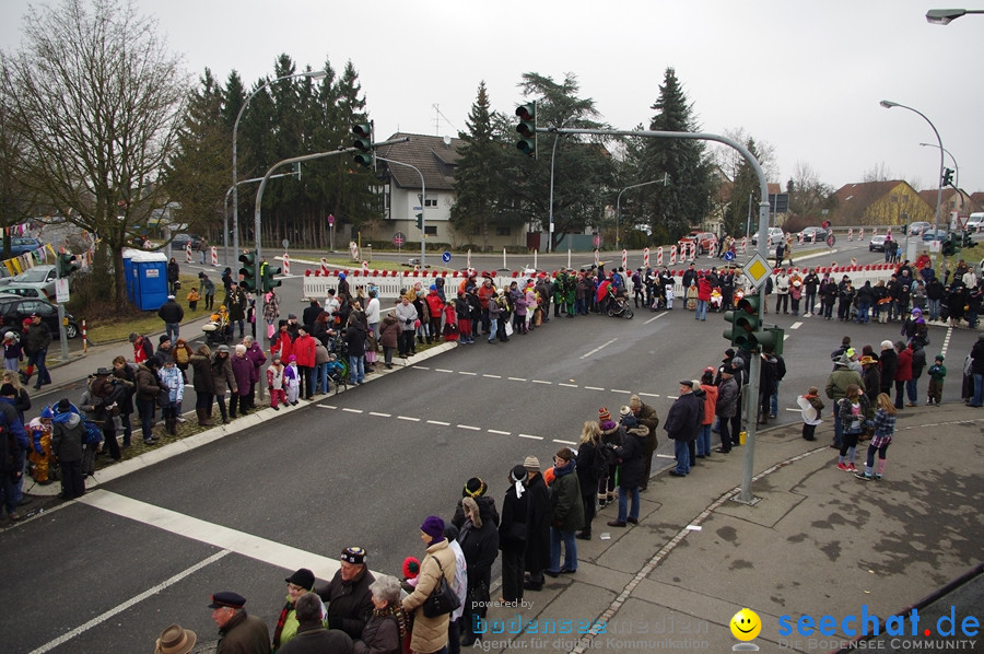 Narrentreffen: Rielasingen am Bodensee, 29.01.2012