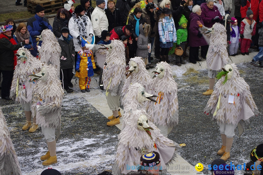 Narrentreffen: Rielasingen am Bodensee, 29.01.2012