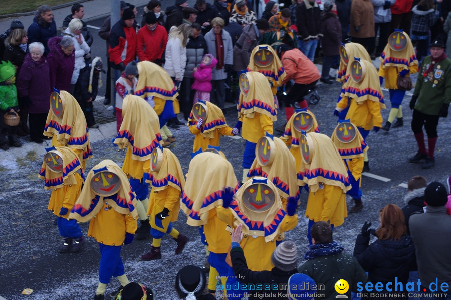 Narrentreffen: Rielasingen am Bodensee, 29.01.2012