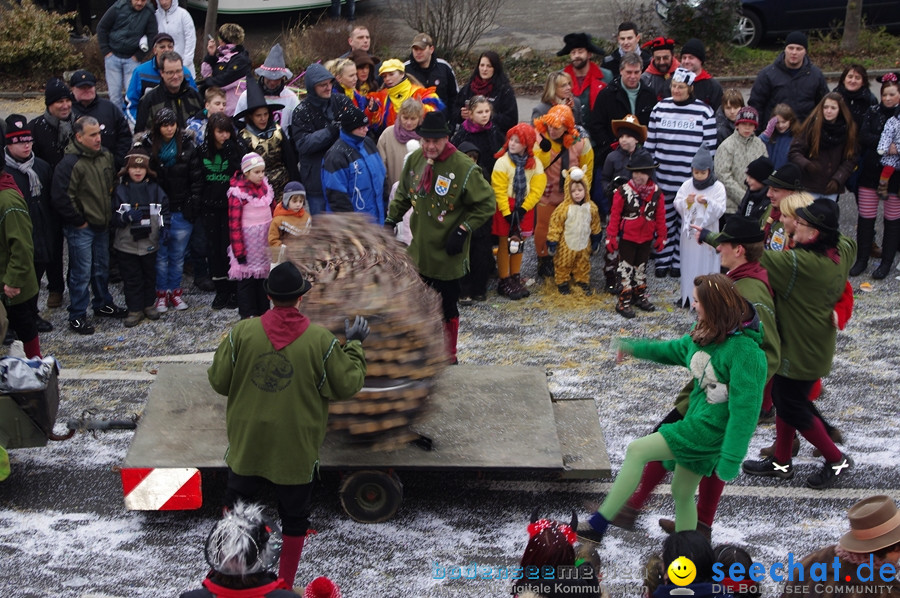 Narrentreffen: Rielasingen am Bodensee, 29.01.2012