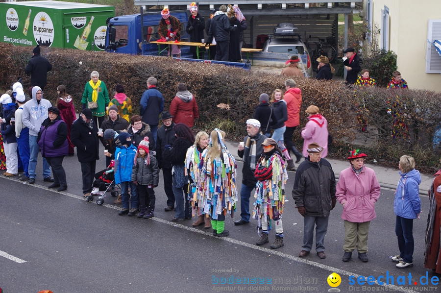 Narrentreffen: Rielasingen am Bodensee, 29.01.2012