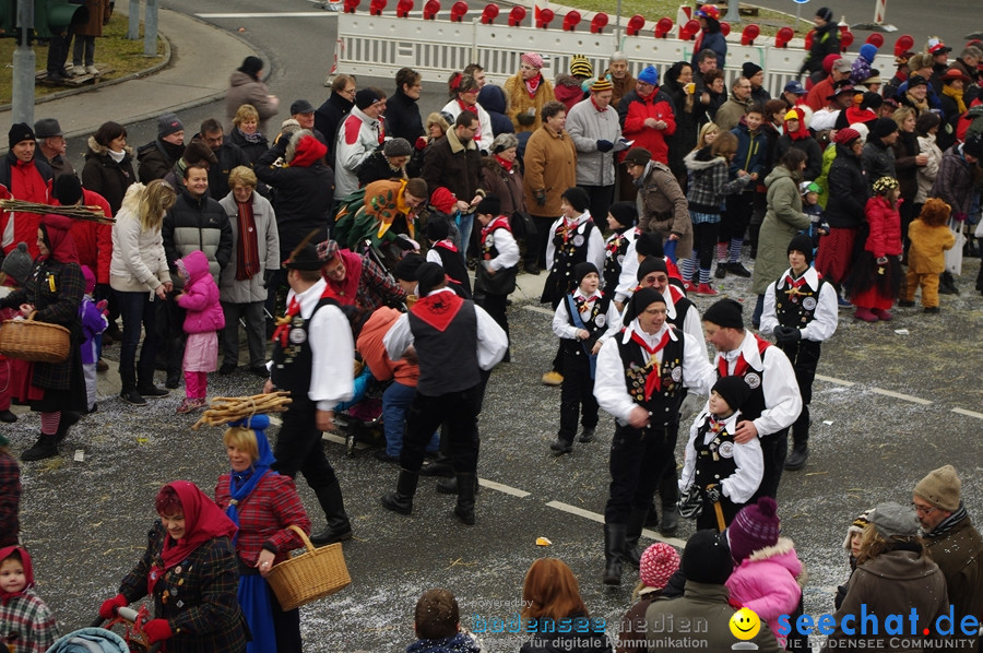 Narrentreffen: Rielasingen am Bodensee, 29.01.2012