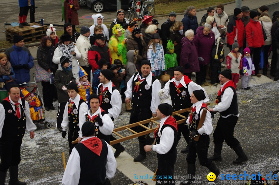 Narrentreffen: Rielasingen am Bodensee, 29.01.2012