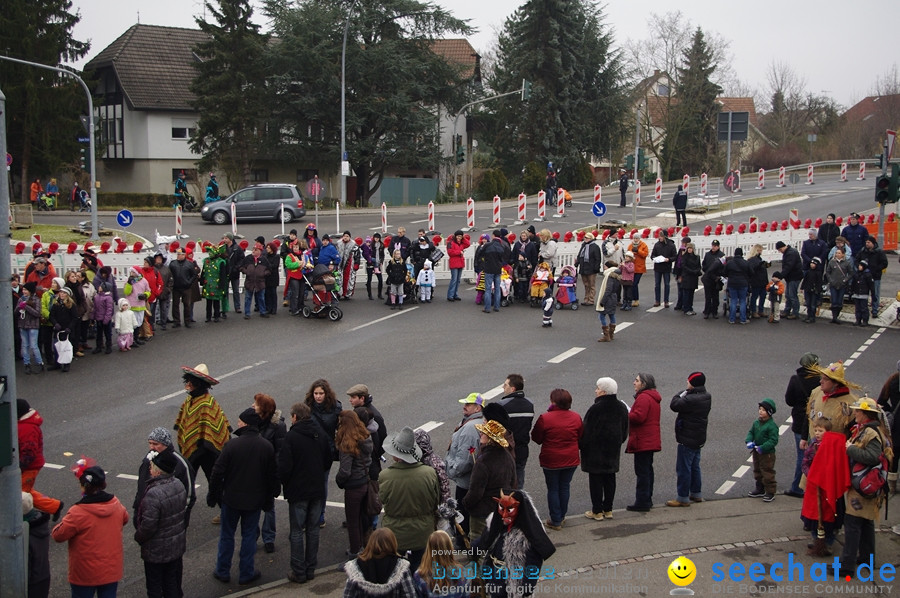 Narrentreffen: Rielasingen am Bodensee, 29.01.2012