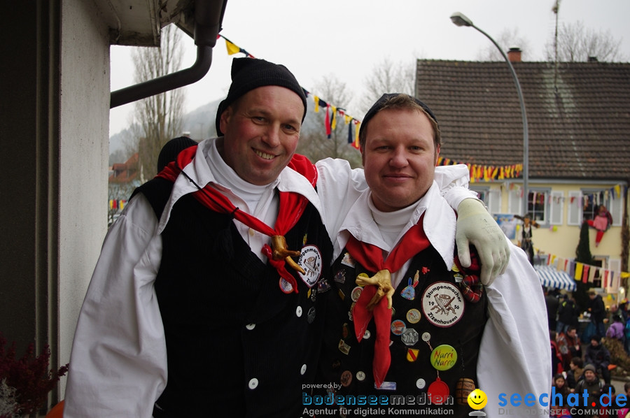 Narrentreffen: Rielasingen am Bodensee, 29.01.2012