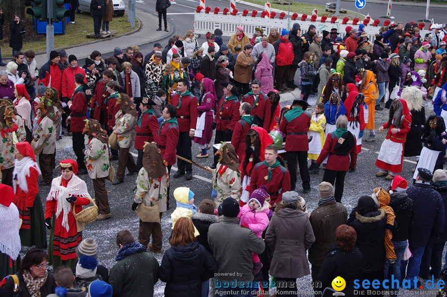 Narrentreffen: Rielasingen am Bodensee, 29.01.2012