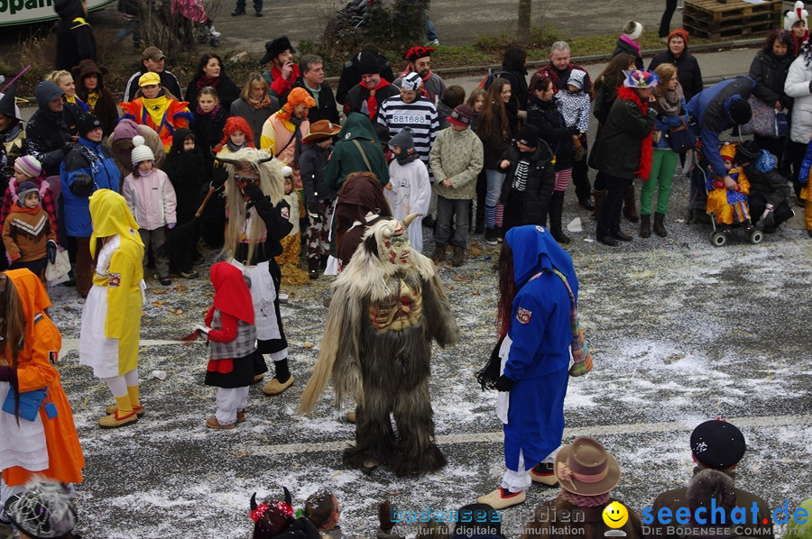 Narrentreffen: Rielasingen am Bodensee, 29.01.2012