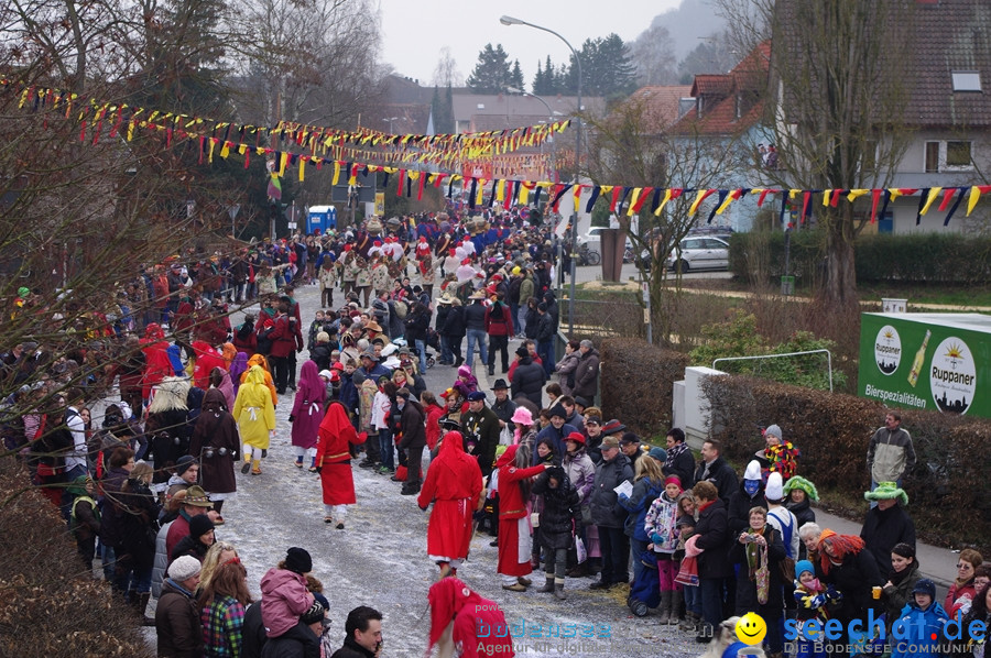 Narrentreffen: Rielasingen am Bodensee, 29.01.2012