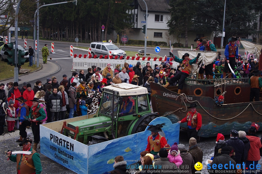 Narrentreffen: Rielasingen am Bodensee, 29.01.2012