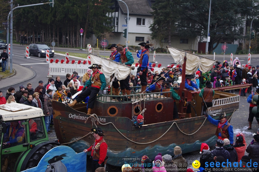 Narrentreffen: Rielasingen am Bodensee, 29.01.2012