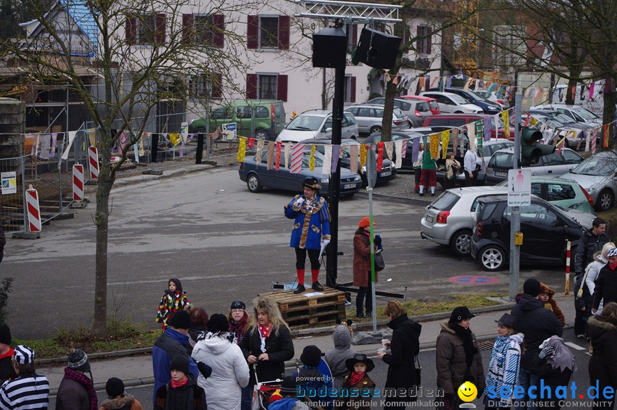 Narrentreffen: Rielasingen am Bodensee, 29.01.2012